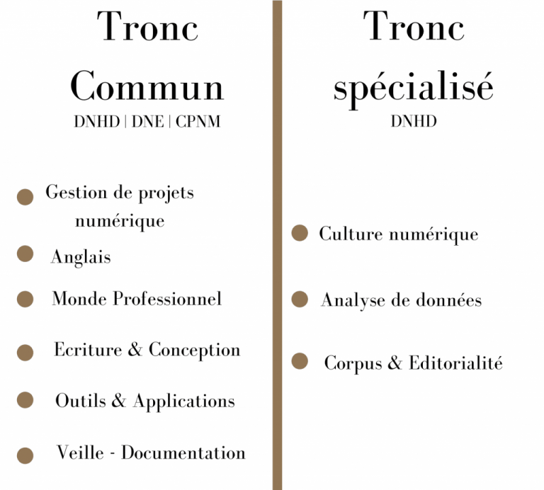 présentation semestre 1 en détail